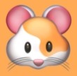 色哟哟APP应用