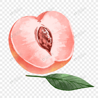 WWW,se938·COM网站APPAPP应用